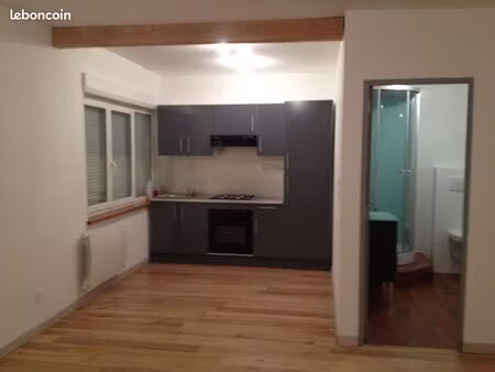 appartement t3 rénové 60 m²