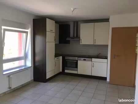 appartement f1 bis 40 m2