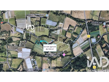 vente terrain au soler (66270) : à vendre / 924m² le soler