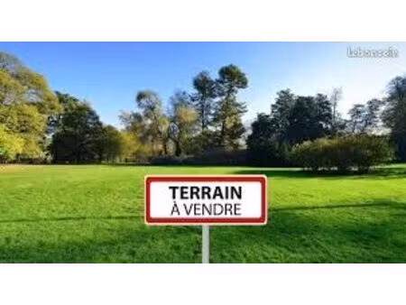 couple recherche terrain constructible mini 800m2