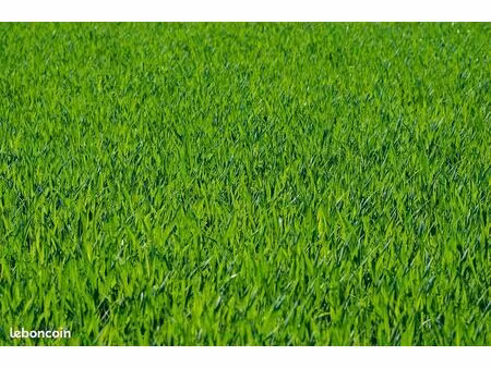 terrain 52000 m² eyguières