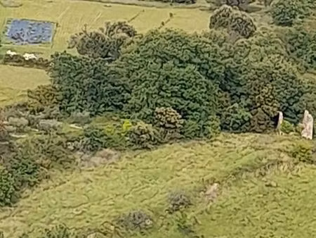 terrain agricol avec puit