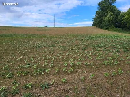 terre agricole