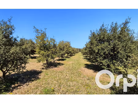 terrain laval-saint-roman m² t- à vendre  48 500 €