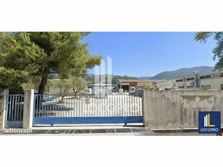 local d'activité 250 m²