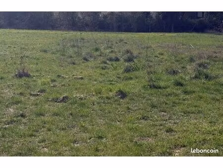 terrain agricole
