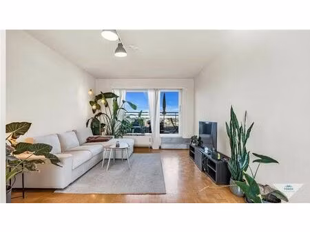 appartement à louer à leeuwerikenstraat 57 heverlee (rbw03932)