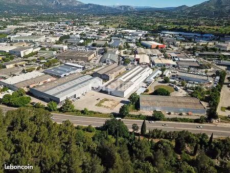 local d'activité 10 000 m²
