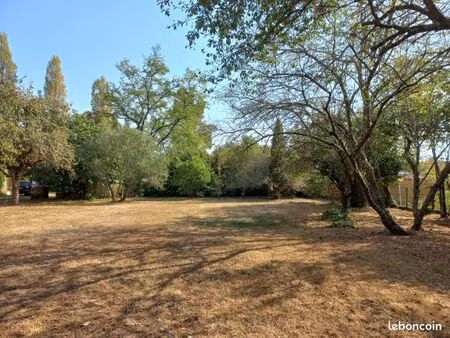 terrain 727 m² targon