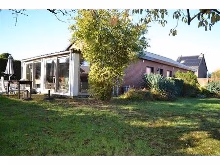 bungalow à louer à rasselstraat 24 relegem (rbw04171)