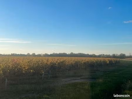 terrain 150000 m² lussac