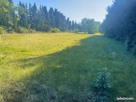 terrain pour chevaux