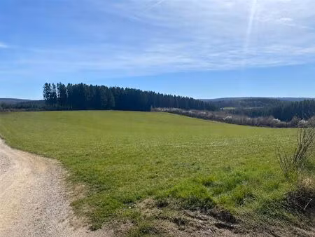 terrain à lotir à vendre à rue du loup fauvillers (rbw08671)
