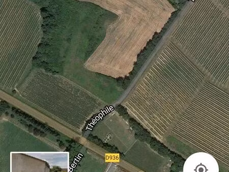 terrain agri 7000m2