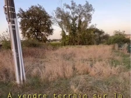 terrain agricole
