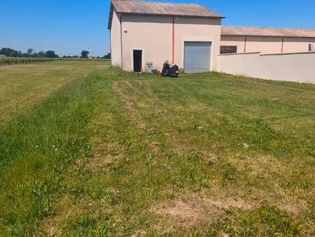 immobilier local