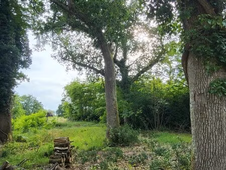 a vendre 6hectare prairies et forêt