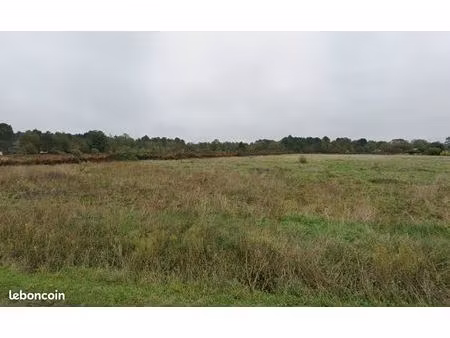 terrain 2 919 m² pompejac