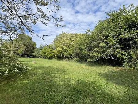 terrain 4450 m² saint-romain-la-virvée