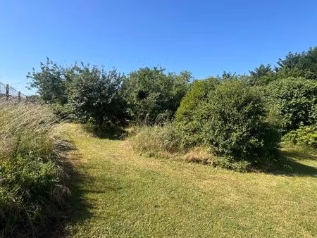 terrain constructible