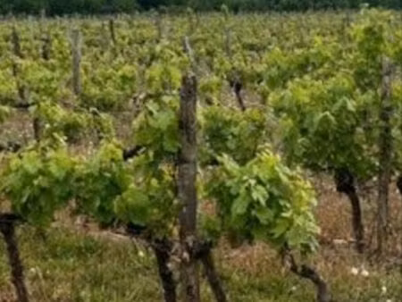 terrains agricoles