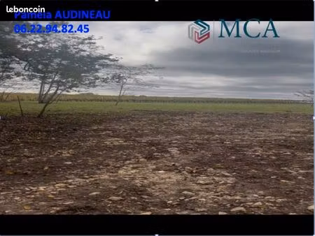 terrain 5 000 m² langoiran