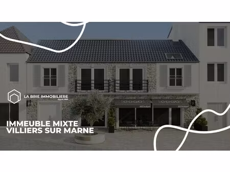vente immeuble 11 pièces
