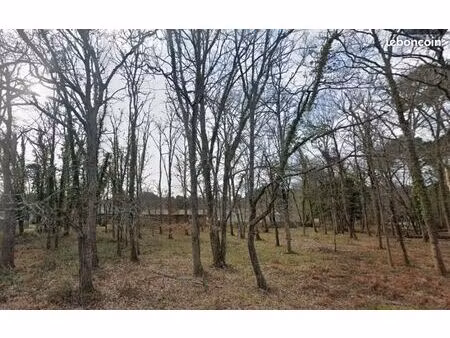 terrain 773 m² hourtin