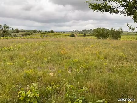 terrain agricole ou de loisirs 1 215 m2 puisserguier