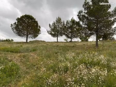 terrain agricole ou de loisirs 4 650 m2 puisserguier