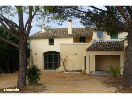 maison au milieu des vignes et des oliviers