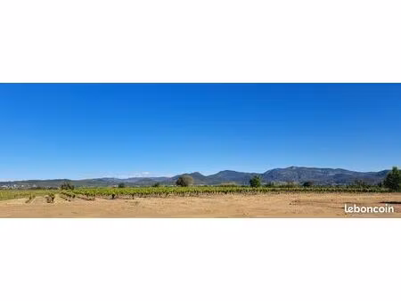 terrain 262 m² saint andre de sangonis