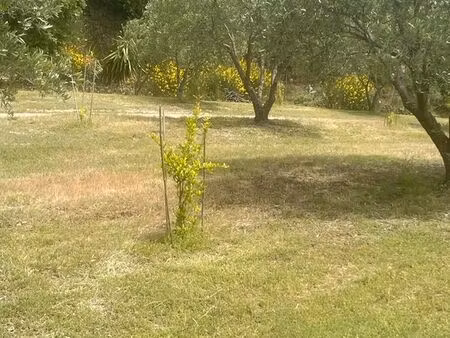 propriété agricole