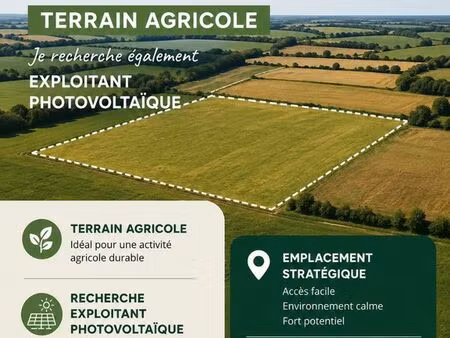 terrain