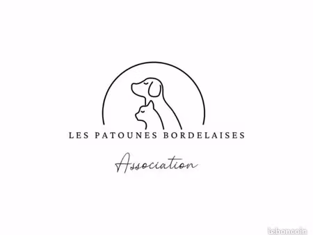 recherche terrain constructible – secteur médoc