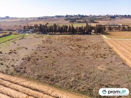 terrain agricole 3 200 m² portiragnes