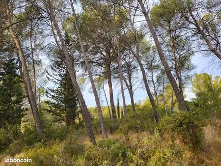 terrain de 1100 m2