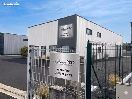 local commercial 300 m²