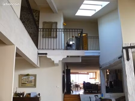 grand appartement loft duplex avec patio et terrasse centre bompas