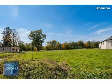 terrain 699 m² saint georges de reintembault