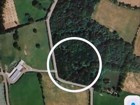 terrain boisé