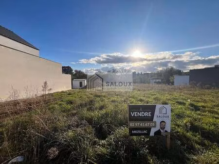 vente terrain à muzillac (56190) : à vendre / 444m² muzillac