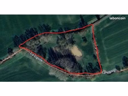 terrain de loisir 11 000m2 la chapelle blanche saint martin
