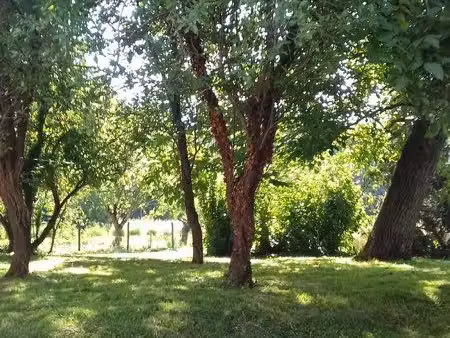 terrain de loisirs au bord de l’indre