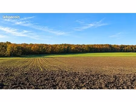 terrain 800000 m² jeu les bois