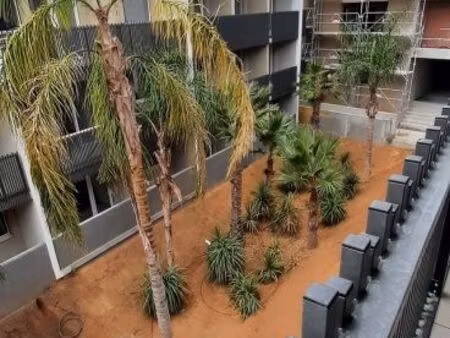 appartement 1 pièce 21 m²