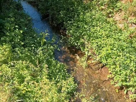 cherche jardin potager sur mauguio