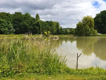 étang de pêche 8 000 m² sur terrain de 13 000 m²