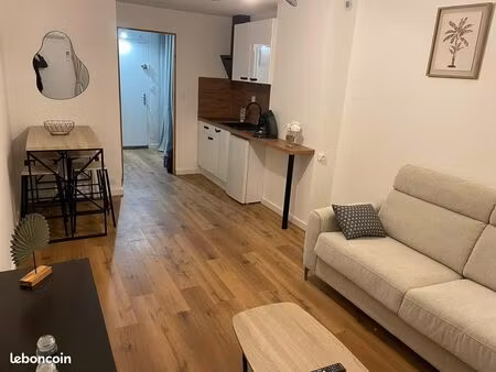 appartement de standing climatisé à la grande motte( location à l'année)