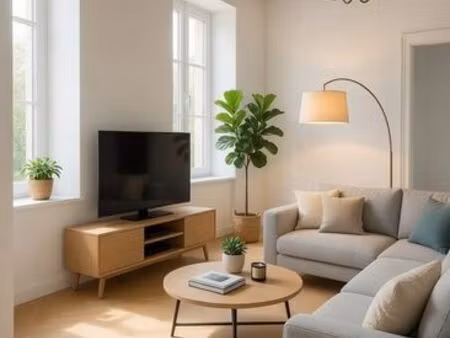 maison meublée à louer – villedieu-sur-indre – rénovation récente